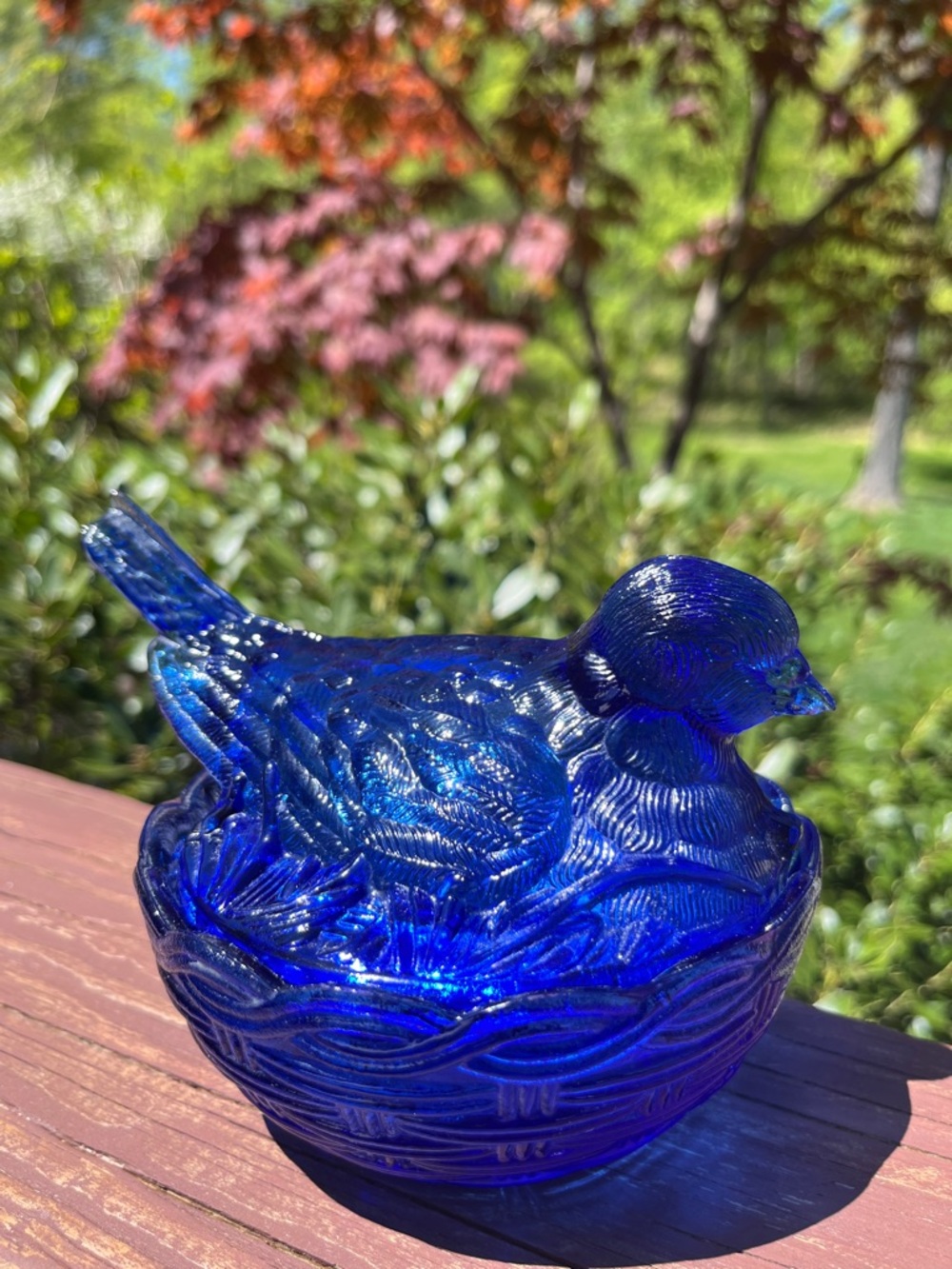 Cobalt Blue Bird On Nest 2 Piece Lidded Candy Dish Dove Robin
